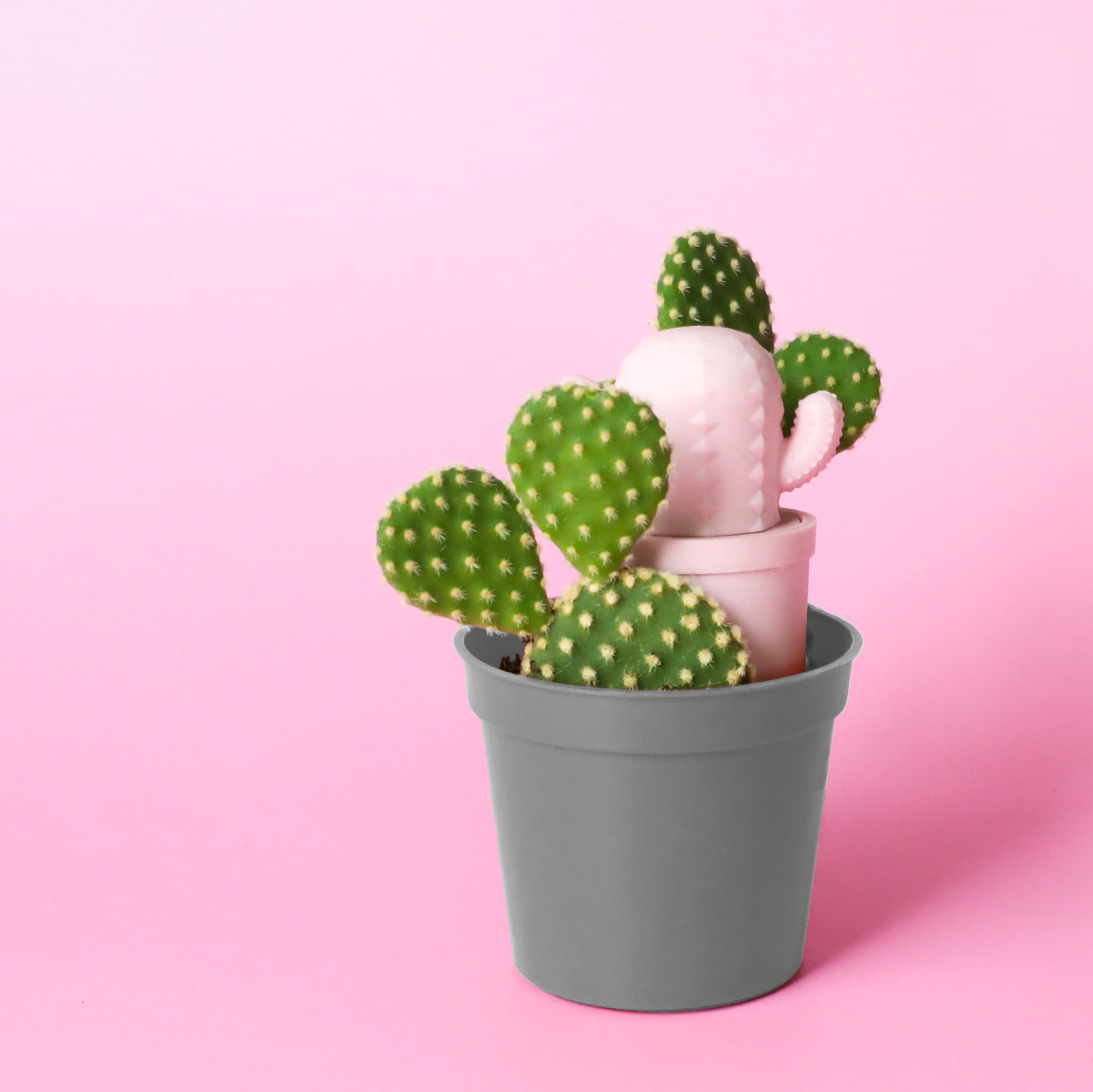 Rebels Refinery Pink Cactus Lip Balm