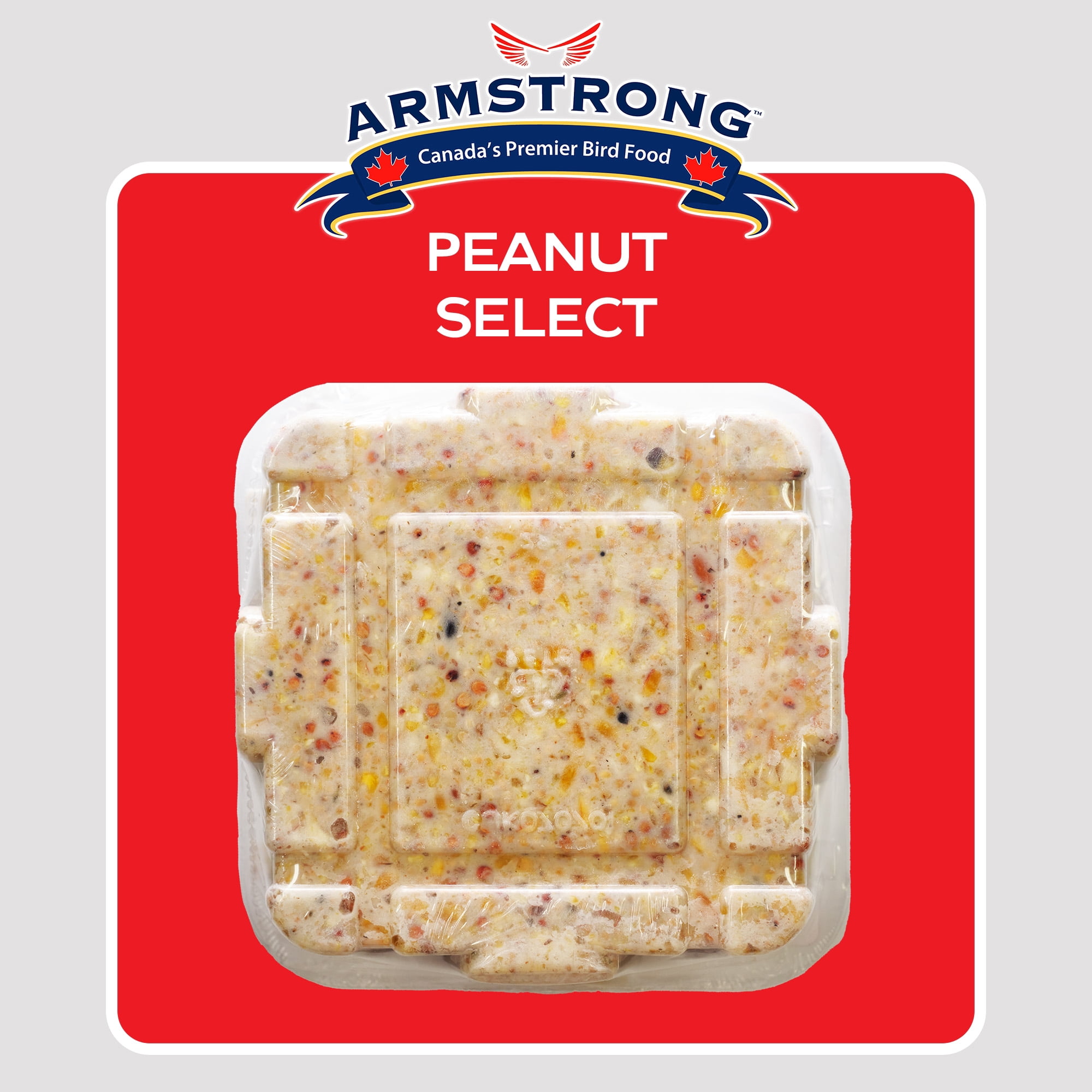 Armstrong Wild Bird Food Peanut Select Suet Blend, 11.3oz (Pack of 12)