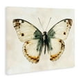thumbnail image 3 of Stupell Industries Moth Study Symmetry Canvas Wall Art, design by Creative Studio, 36 x 48, 3 of 7