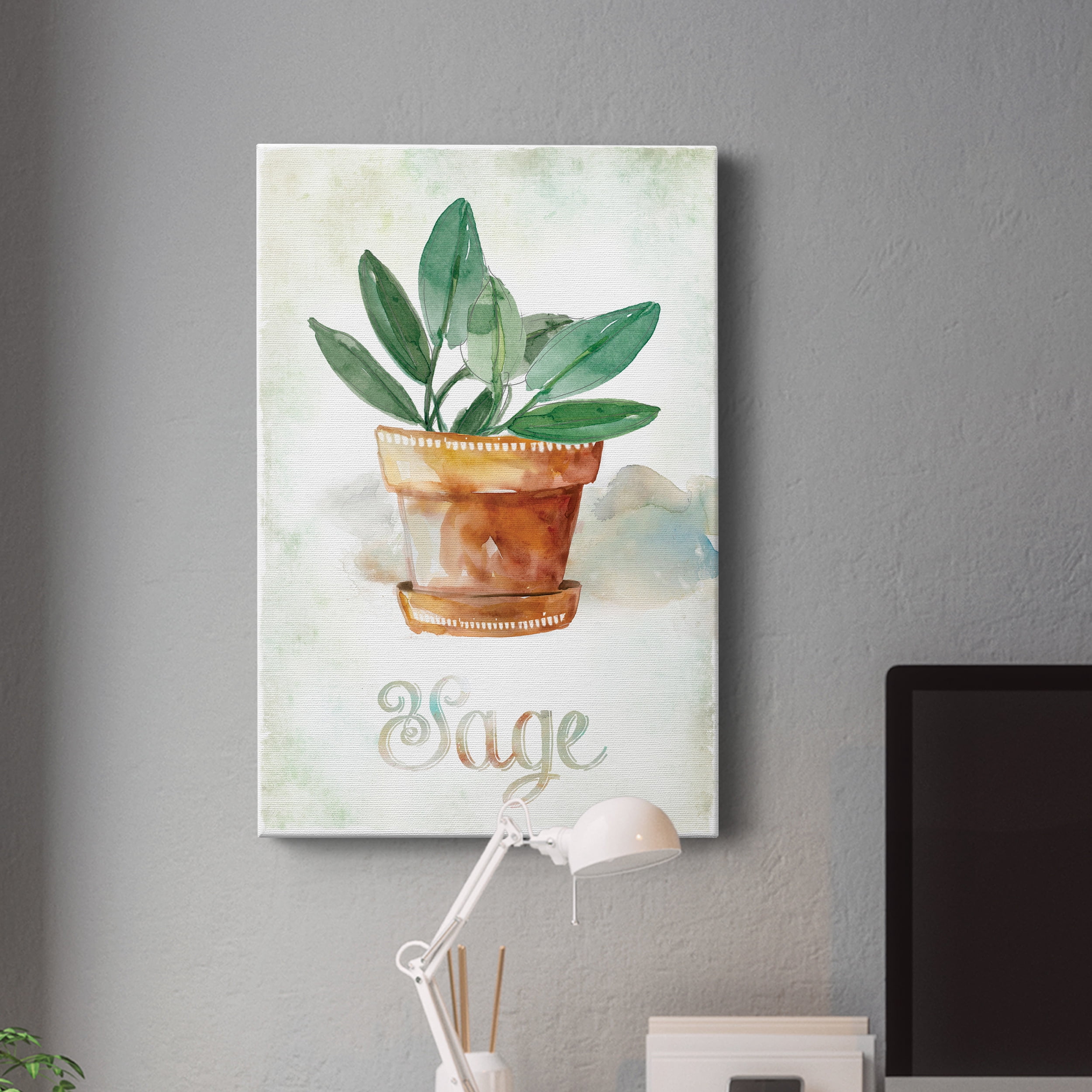 Potted Sage Premium Gallery Wrapped Canvas - Ready to Hang - 40 x 60