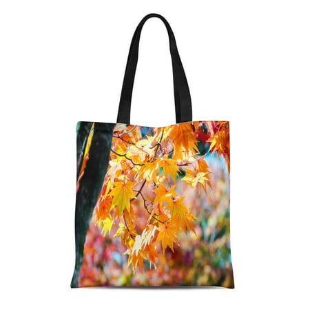 SIDONKU Canvas Tote Bag Yellow Maple Tree in Autumn Season Branch Bright Colors Reusable Shoulder Grocery Shopping Bags (Best Handbag Color For All Seasons)