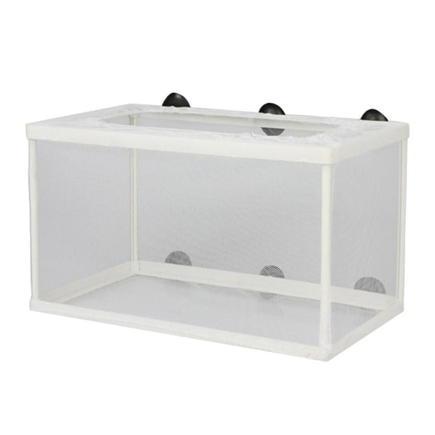 Caja de de peces, red de aislamiento de cría para peces agresivos, alevines recién nacidos, guppy