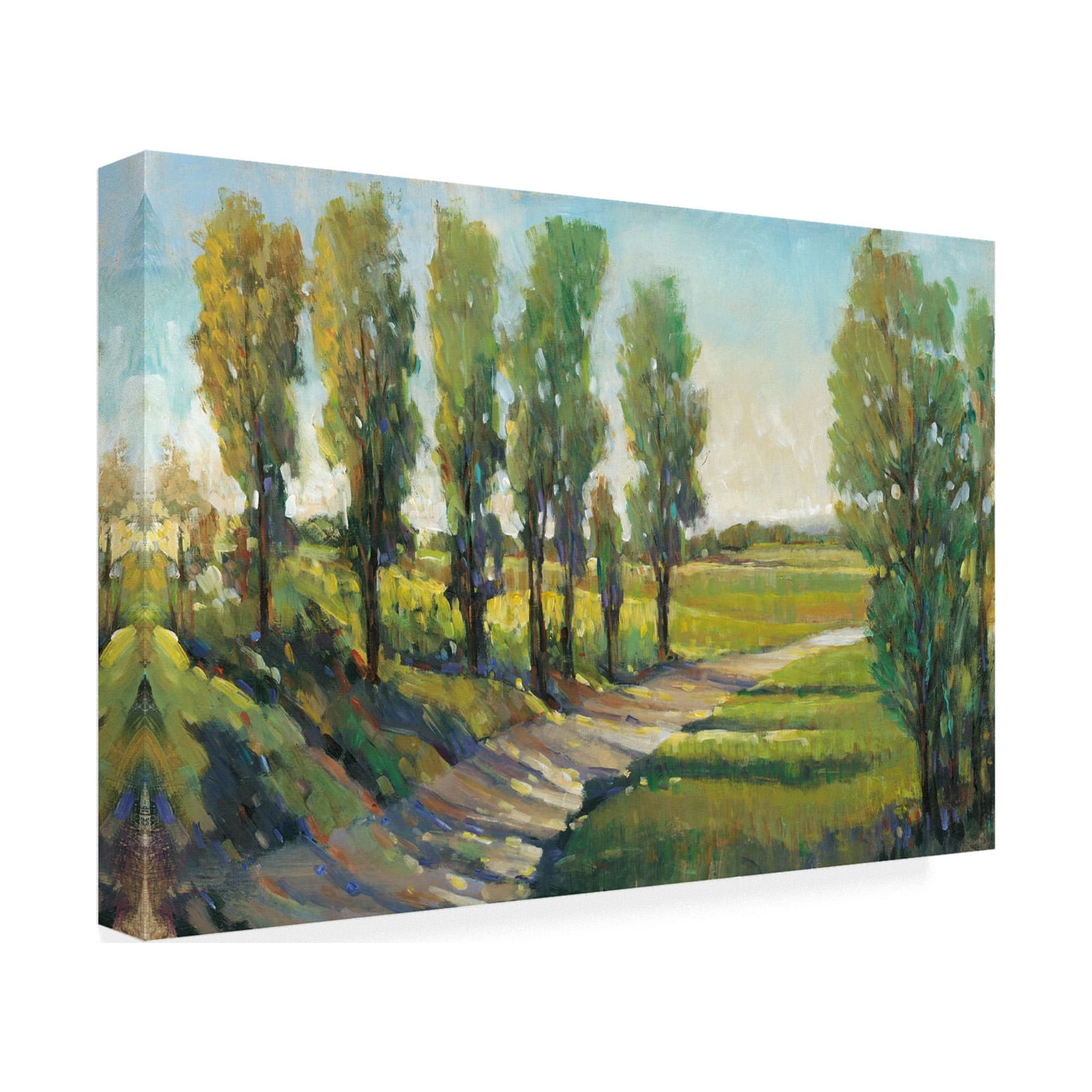 Trademark Fine Art 'Lush Landscape I' Canvas Art by Tim OToole