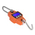 thumbnail image 3 of Básculas de gancho, báscula de grúa de gran capacidad de carga, básculas electrónicas de acero inoxidable, caza de verdulero para granja doméstica ANGGREK Otros, 3 of 8