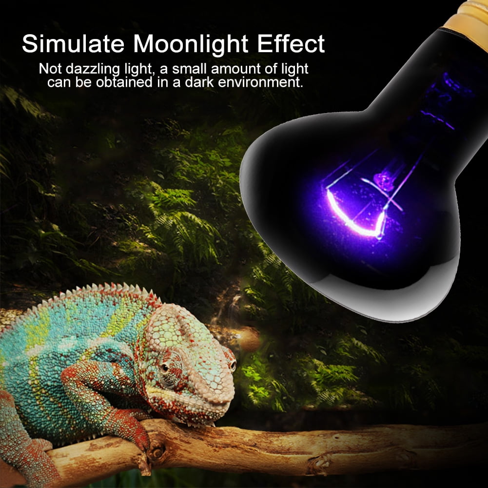 Day and night reptile heat lamp online