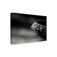 thumbnail image 2 of Trademark Fine Art 'Stone Fountain Edge' Canvas Art by Pixie Pics, 2 of 4