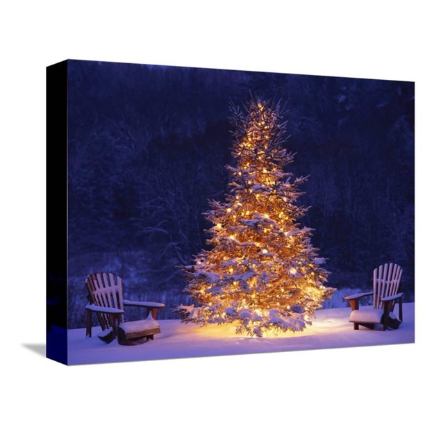 Snow Covering Adirondack Chairs by Lit Christmas Tree, Seasons Gallery