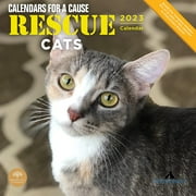 2023 Rescue Cats Monthly Wall Calendar by Bright Day, Calendars For A Cause, 12 x 12 Inch