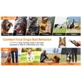 thumbnail image 2 of Dog Training Collar with 2600 Ft Remote, Electronic Dog Collar Shock Collar with Beep, Vibration, Shock, Light and Keypad Lock Mode, Waterproof Electric Dog Collar Set for Small Medium Large Dogs, 2 of 4