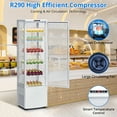 thumbnail image 4 of Acekid 278L Commercial Cake Display Refrigerator, Single-Door Merchandiser with Universal Wheels, LED Lighting, Countertop/Floor Refrigerator, 4 of 8