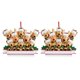 thumbnail image 4 of Adorno colgante de árbol de Navidad Advancent con 8 animales 2Conjunto, 4 of 6