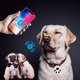 thumbnail image 2 of Mini Cat and Dog GPS Tracker with Bluetooth Wireless Anti-lost Positioning Device, 2 of 5