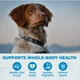 thumbnail image 2 of Wellness Simple Natural Grain Free Limited Ingredient Dry Dog Food, Small Breed Recipe, 10.5lb Bag, 2 of 9