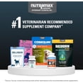 thumbnail image 2 of Nutramax Cosequin for Dogs Joint Health Supplement, Contains Glucosamine for Dogs, Plus Chondroitin, MSM and HA, Supports Healthy Joints, Chewable Tablets, 150 Count, 2 of 7