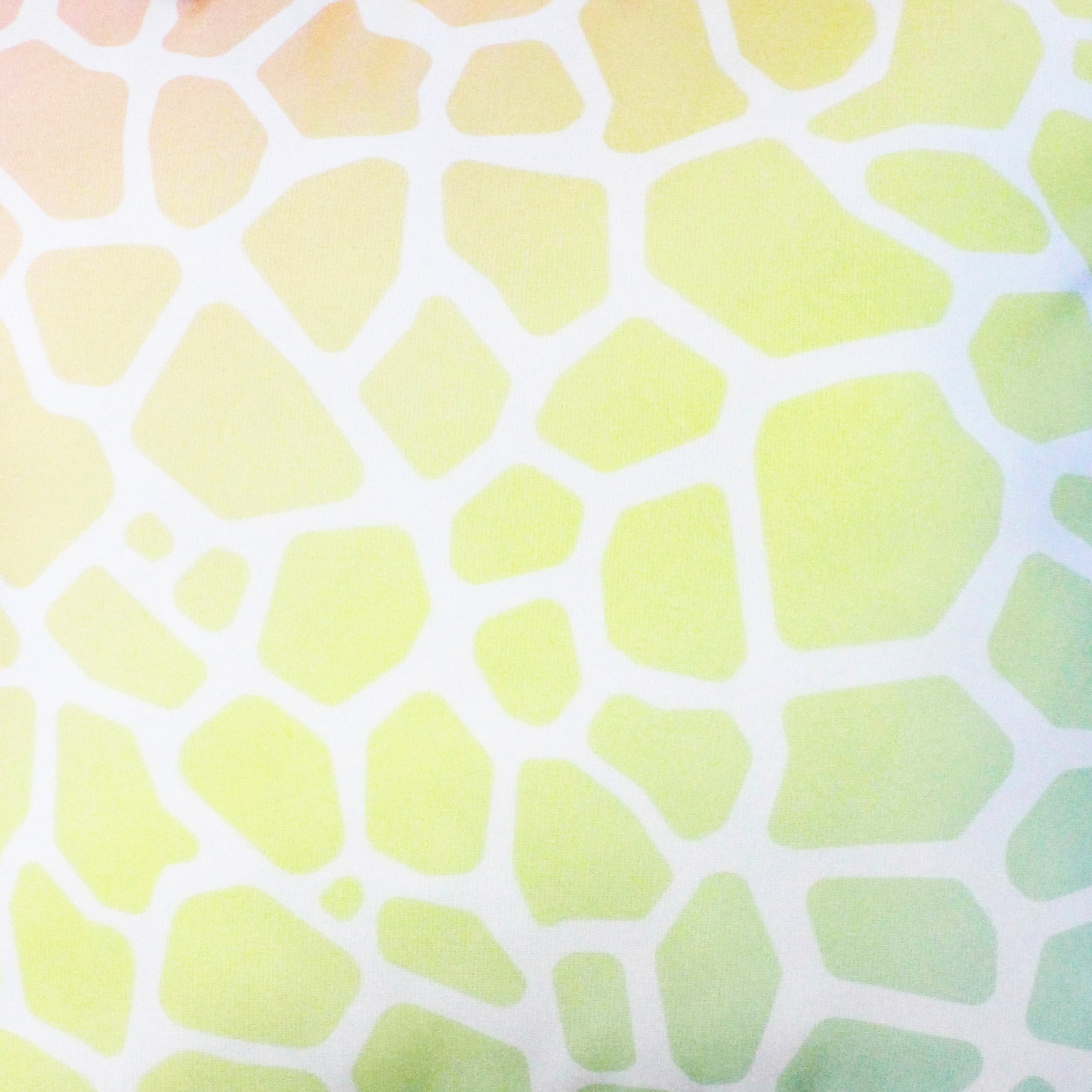 Everything Comfy Giraffe Print Decorative Throw Pillow, 16x16 Inch, Pastel Gradient,