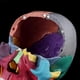 thumbnail image 4 of 15pcs/set 4D Disassembled Color Skull Anatomical Model Detachable Medical Teachi, 4 of 5