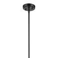 thumbnail image 2 of 42047BKCS Kichler Lighting Everly - 1 Light Pendant-17.75 Inches Tall and 9 Inches Wide-Black Finish-Clear Seeded Glass Color, 2 of 4