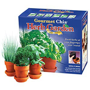 pepers tomatoes New CHIA Chef's Garden to start your garden indoors basil