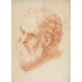 thumbnail image 3 of Anonymous 14x18 Black Modern Framed Museum Art Print Titled - Head of an Old Man (1700s), 3 of 5