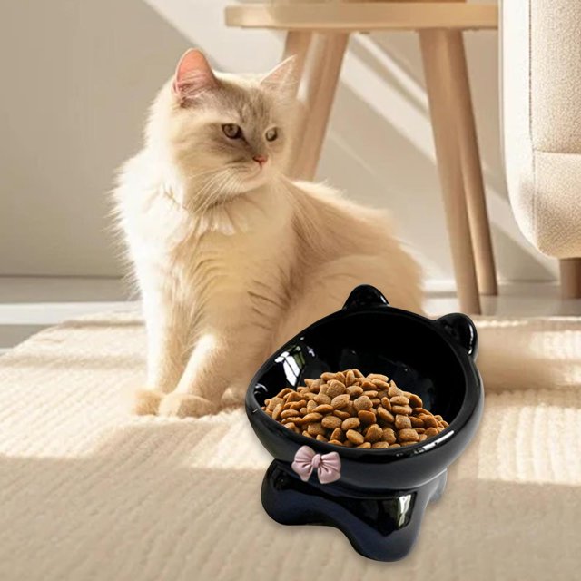 Tazones de gato s Contenedor de alimentos Anti vómitos Protección contra el cuello Cerámica y tazón de agua para gatos pequeños, medianos y negro
