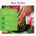thumbnail image 6 of Osmocote Smart-Release Plant Food Plus Outdoor & Indoor, 1 lb., 6 of 7