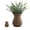 Dark Brown, variant on HXRH 1Pcs Woven Rattan Flower Vase Unique Imitation Rattan Decorative Vase Elegant Natural Design for Fresh Faux Flowers for Home Office Balcony Wedding (Light Brown)