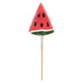 thumbnail image 2 of Exclusive Brands Watermelon Lollipop, 2 of 5