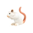 thumbnail image 4 of Tachiuwa Mice Toy Collectibles Simulated Mouse Model for Festivals Preschool Birthday Style C, 4 of 9