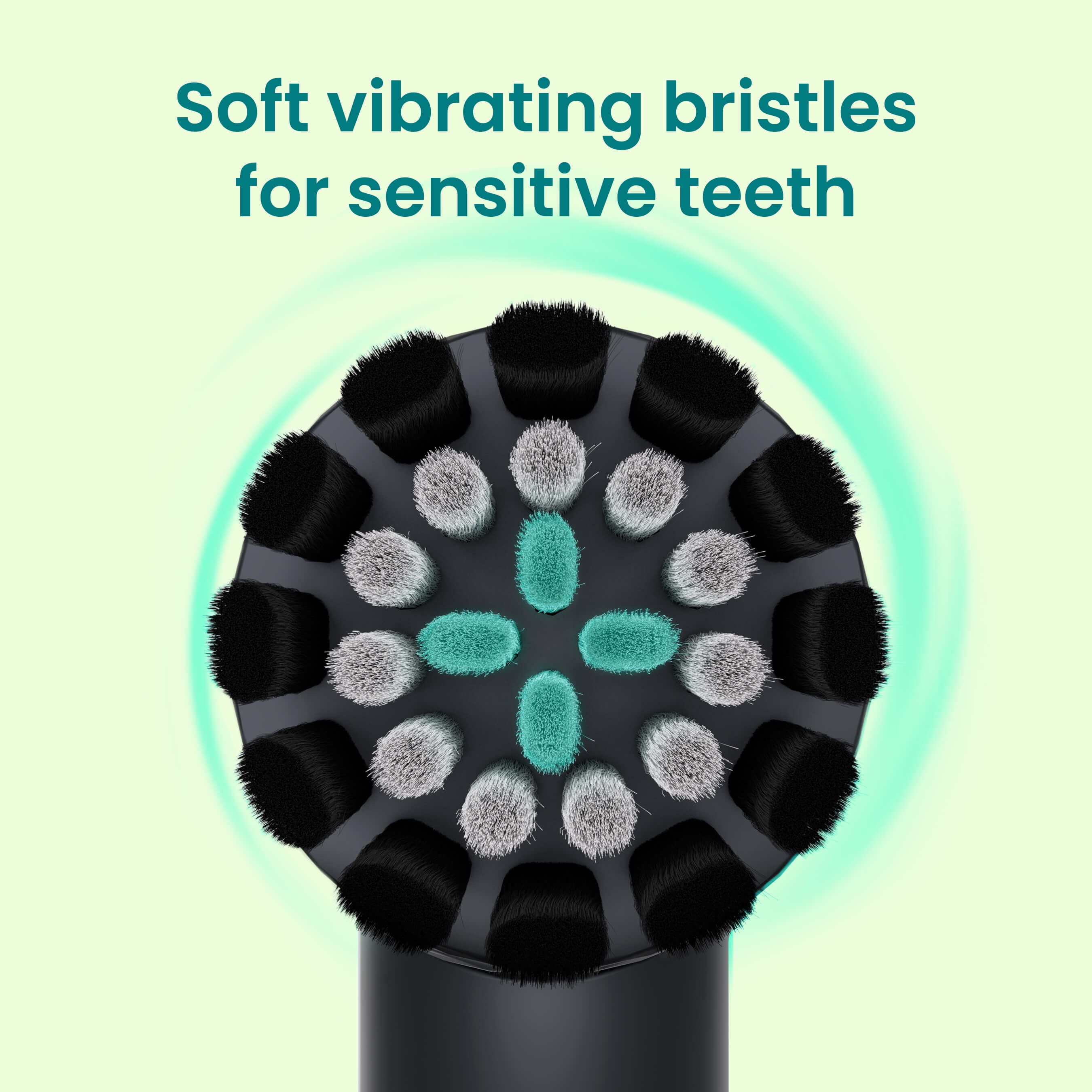 (2 pack) Quip Rev Oscillating Electric Toothbrush Head, Adult Compact Head Refill, Black, 2 Pack