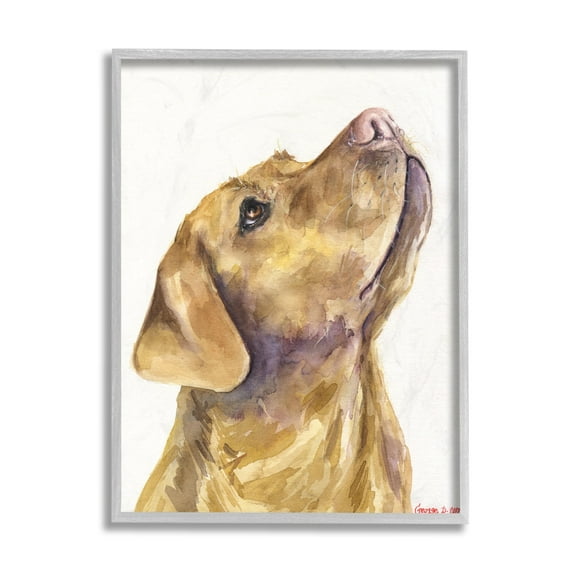 Stupell Industries Yellow Lab Gazing Upwards Pet Dog Portrait Grey Framed, 11 x 14, Design by George Dyachenko