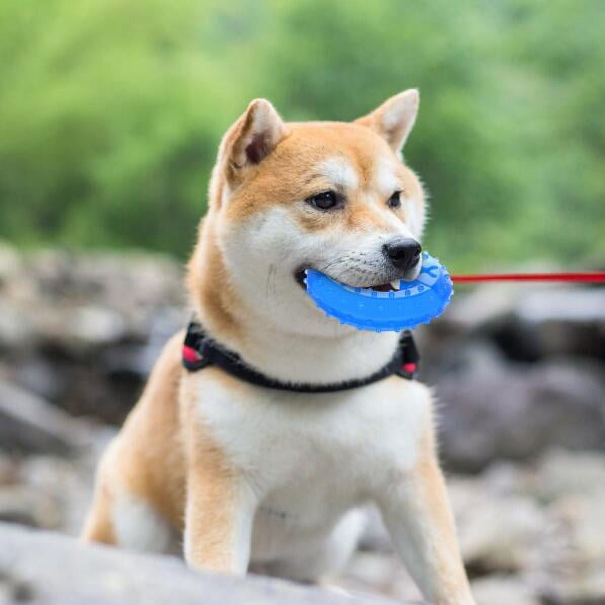 UZAKMI uzakmi puppy toy for teething soft & durable 6-pack dog