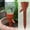 Red, variant on Automatic Plant Watering Device,Slow Drip Irrigation System with Adjustable Flow Control,Reusable Plastic Bottle Adapter,No Electricity Needed,Indoor Outdoor Garden Care,Travel Friendly