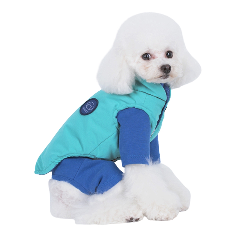 dog skin jacket