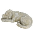 thumbnail image 1 of Marqueur de Pierre Commémorative pour Animal de Compagnie, Marqueur de Tombe Chien Chat Pierre Pierre Tombale Pierre Tombale Pierre de Jardin pour Animal de Compagnie Marqueur de Tombe Cadeaux Commémoratifs Artisanat en Résine Pierre Tombale pour Pelouse Jardin Extérieur, 1 of 8