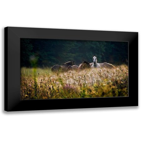Malovrh, Milan 14x10 Black Modern Framed Museum Art Print Titled - our garden