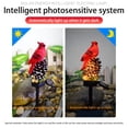 thumbnail image 6 of YIGSECU Red Bird Solar Garden Light Outdoor Lighting Waterproof IP55 for Garden Yards, 6 of 17