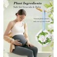 thumbnail image 4 of White Tea Scent Air Freshener for Closet, Drawer, Car, Gym Bag, Linen Storage, Essential Oil Plaster Diffuser Longer-Lasting Odor Eliminator Than Home Fragrance Sachets for Small Spaces - 2 Pack, 4 of 4