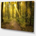 thumbnail image 2 of Coucher de Soleil dans Forêt d'Automne Verte - Art sur Toile Forêt Moderne, 2 of 4