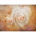 thumbnail image 2 of Schell, Jennie Marie 32x25 Black Ornate Wood Framed with Double Matting Museum Art Print Titled - Rose Orange 4, 2 of 4