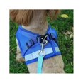 thumbnail image 4 of Jinsinto Reflective harness, Adjustable harness, Harness with leash, Puppy harness, Cat harness (red- M), 4 of 5