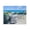 Coastal Pathway Ocean Peaceful, variant on Stupell Industries Coastal Vintage Surfboard Collection Black Framed Giclee Art, 14 x 11, by Franklyn Gregory