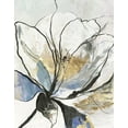 thumbnail image 2 of Jensen, Asia 12x14 White Modern Wood Framed Museum Art Print Titled - Outlined Floral I, 2 of 4