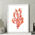 thumbnail image 2 of Wexford Home Coral Kelp II-Framed - White - 22X30, 2 of 4