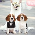 thumbnail image 3 of Dog Clothing Pet Suit Pet Wedding Dress Pet Black Wedding Jacket, 3 of 6