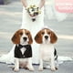 thumbnail image 3 of Ropa para perros, traje para mascotas, vestido de novia para mascotas, abrigo de boda negro para mascotas MFZFUKR l, 3 of 6