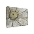 thumbnail image 2 of Tim OToole 'Close Up Daisy I' Canvas Art, 2 of 3