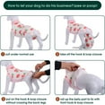 thumbnail image 4 of HQREA Pet Recovery Suit for Dogs Cat After Surgery, Prevent Licking Dog Abdominal Wounds Bandages, 4 of 6