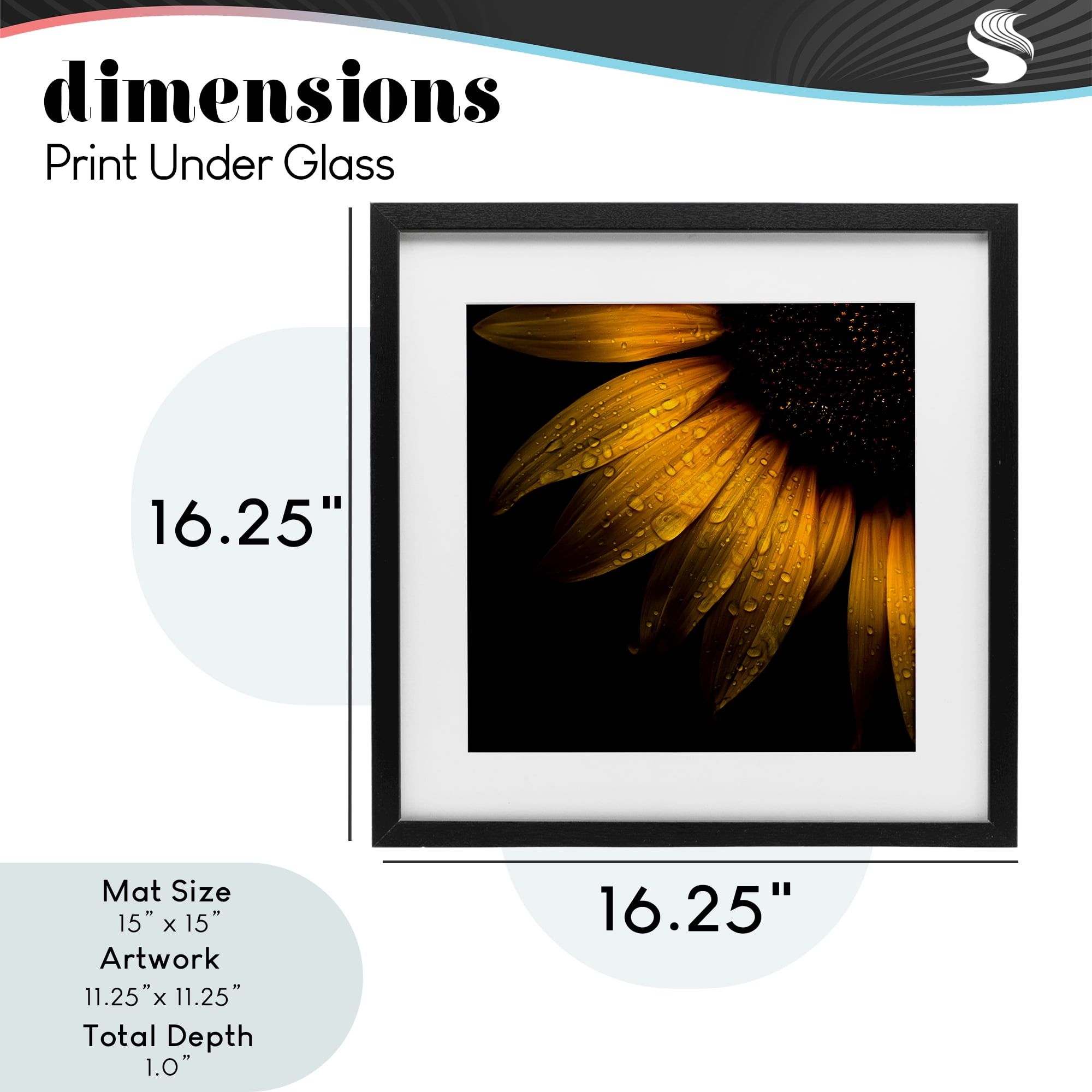 Sunflower Detail with Droplets Black Framed Print Under Glass, design by Brian Carson Photography