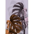 thumbnail image 2 of 1x Studio III 13x18 Gold Ornate Wood Framed with Double Matting Museum Art Print Titled - Monstera Purple 02, 2 of 4