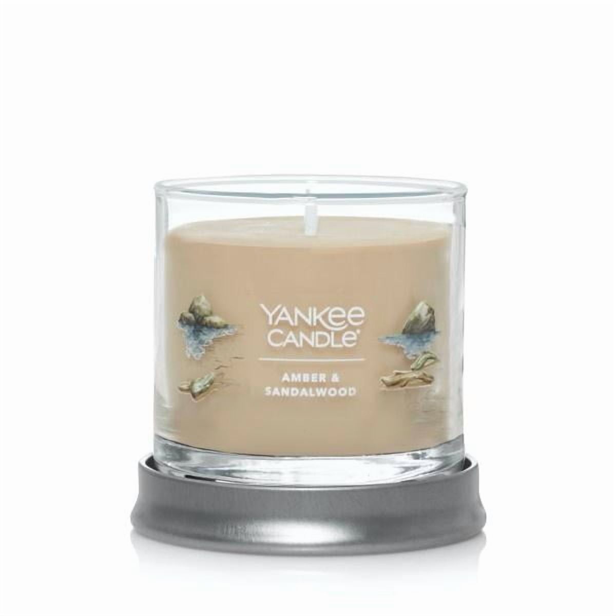 Yankee Candle Small Tumbler Scented Single Wick Jar Candle, Amber & Sandalwood, 4.3 oz (Pack of 2)